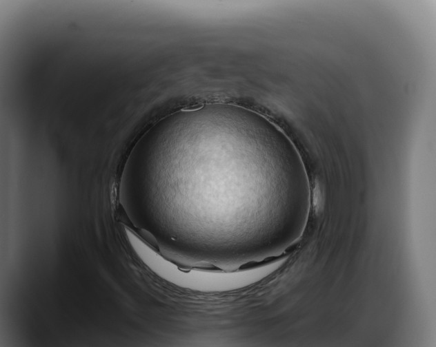 X0000088381492200705291337