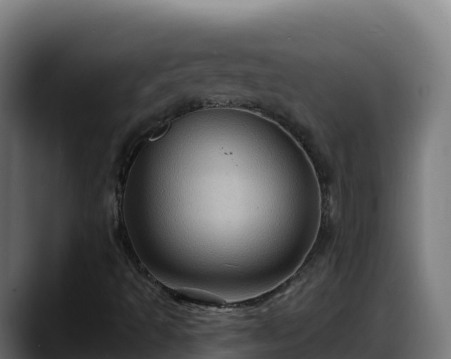 X0000088381493200705291337