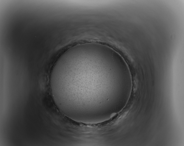 X0000088381494200705291337