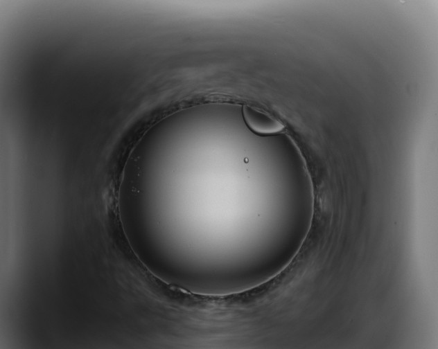 X0000088381495200705291337