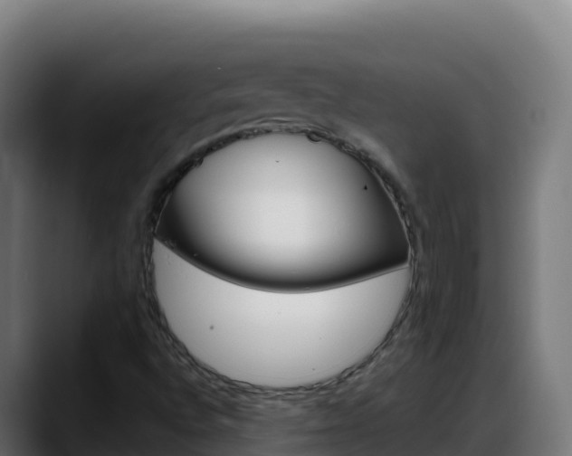 X0000088381496200705291337
