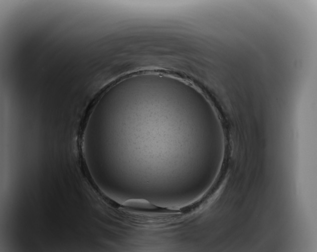 X0000088381497200705291337