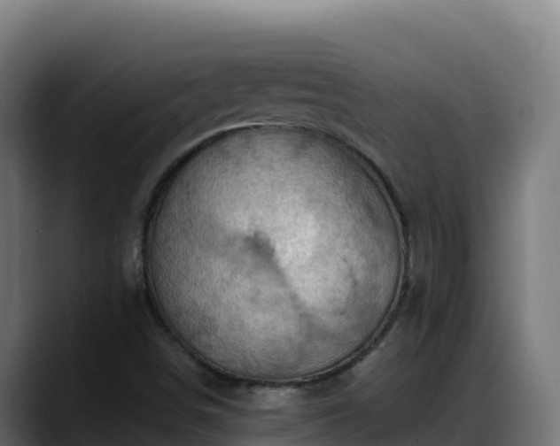 X0000088381498200705291337