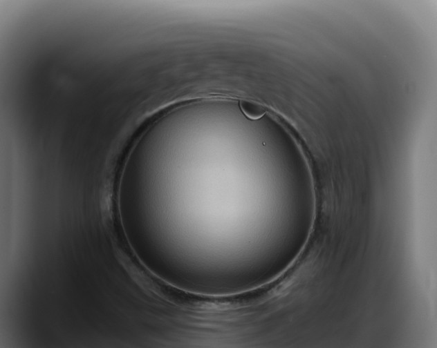 X0000088381499200705291337