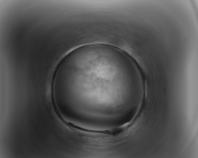 X0000088381500200705291337