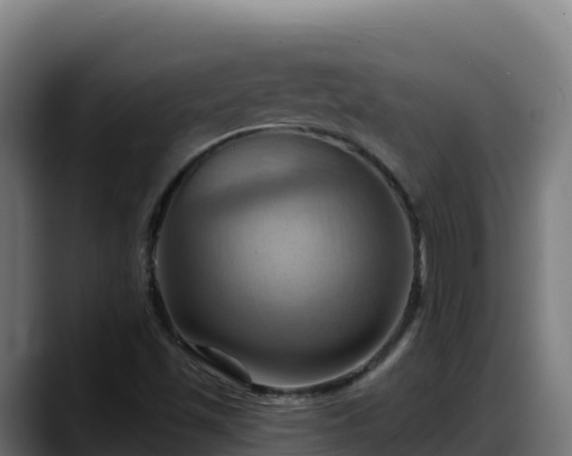 X0000088381501200705291337
