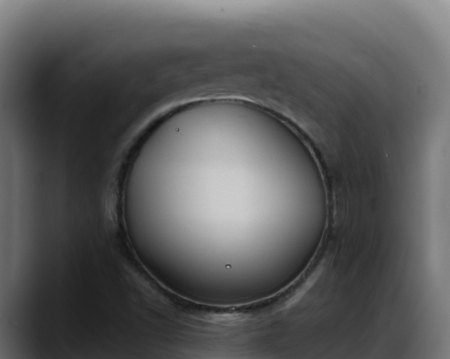 X0000088381502200705291337
