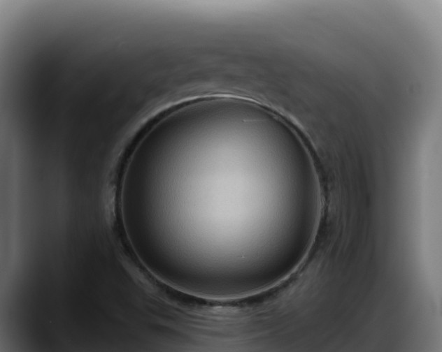 X0000088381503200705291337