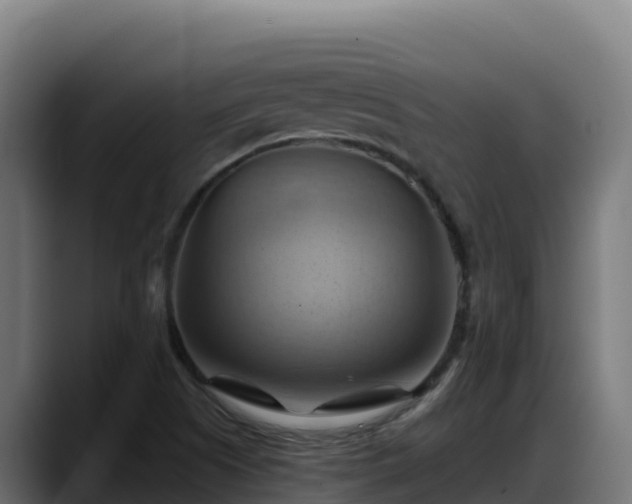 X0000088381505200705291337