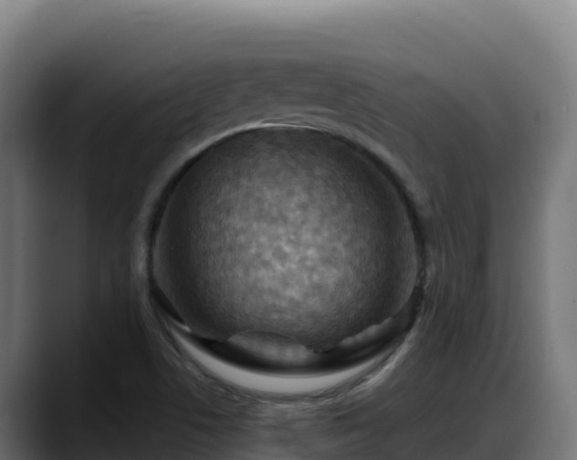 X0000088381506200705291337