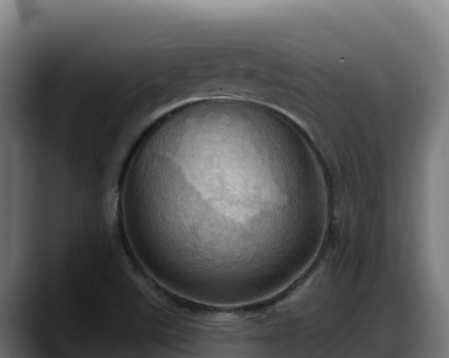 X0000088381507200705291337