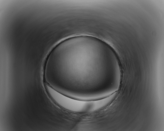 X0000088381508200705291337