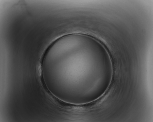 X0000088381509200705291337