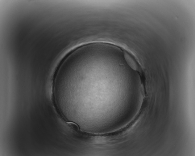 X0000088381511200705291337