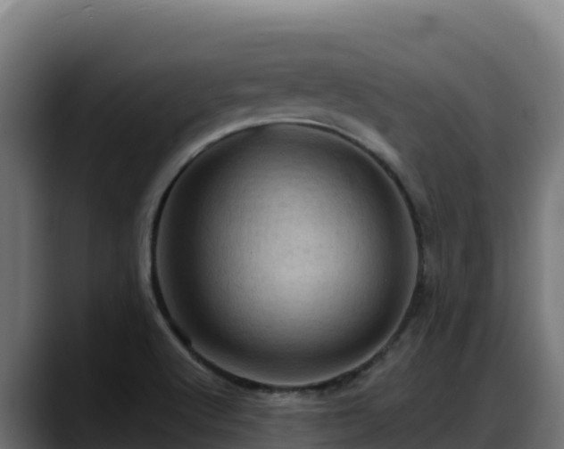 X0000088381512200705291337