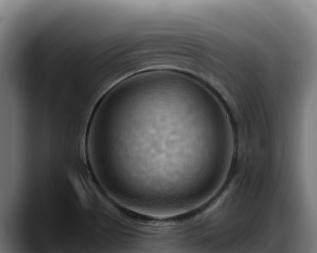 X0000088381513200705291337