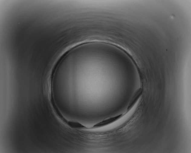 X0000088381515200705291337