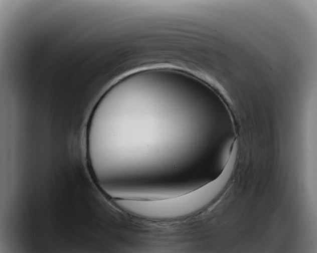 X0000088381516200705291337