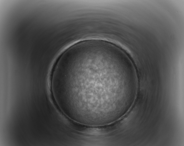 X0000088381517200705291337