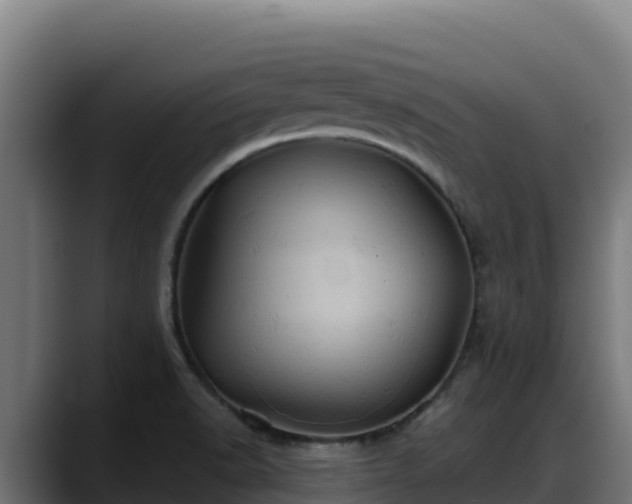 X0000088381518200705291337