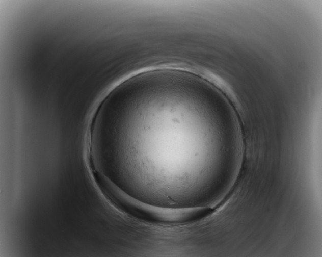 X0000088381520200705291337