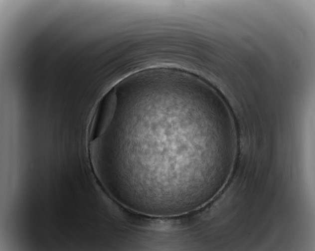 X0000088381521200705291337
