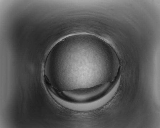 X0000088381524200705291337