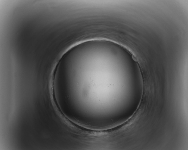 X0000088381526200705291337