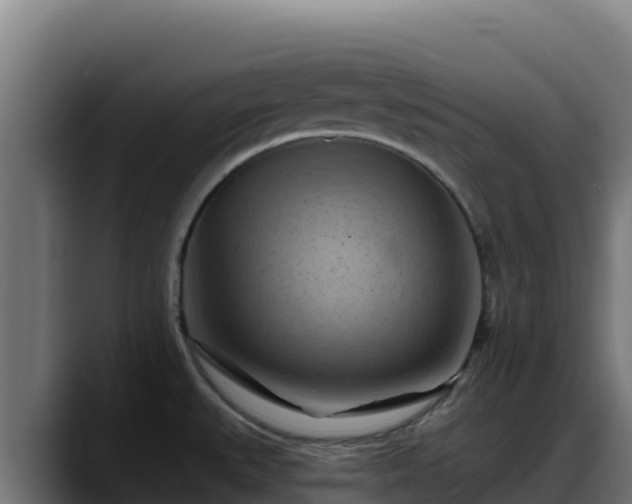 X0000088381527200705291337