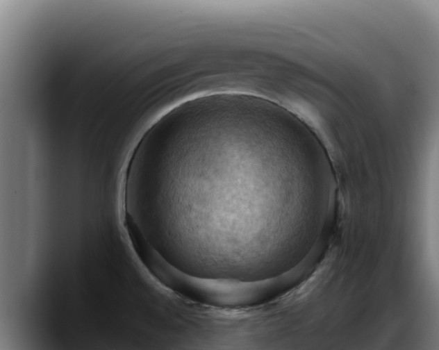 X0000088381528200705291337