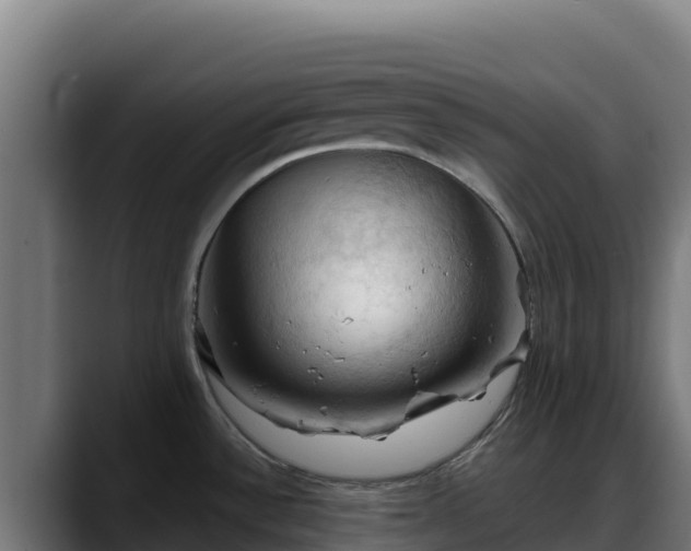 X0000088381532200705291337