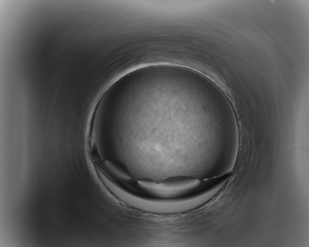 X0000088381536200705291338