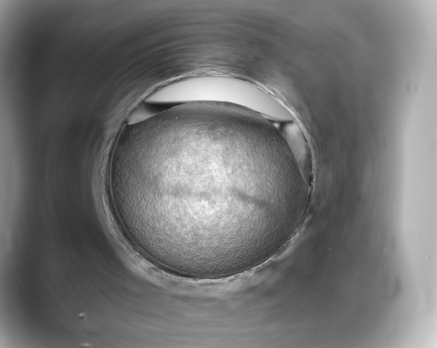 X0000088380001200706051108