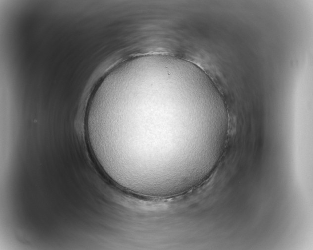 X0000088380004200706051108