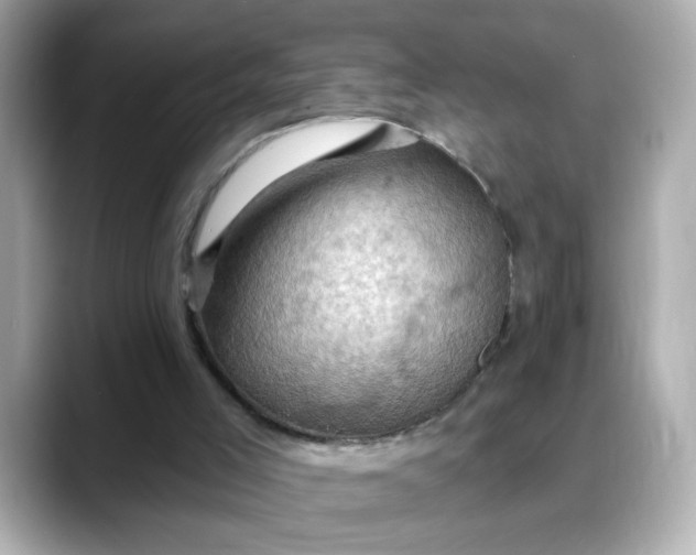 X0000088380005200706051108