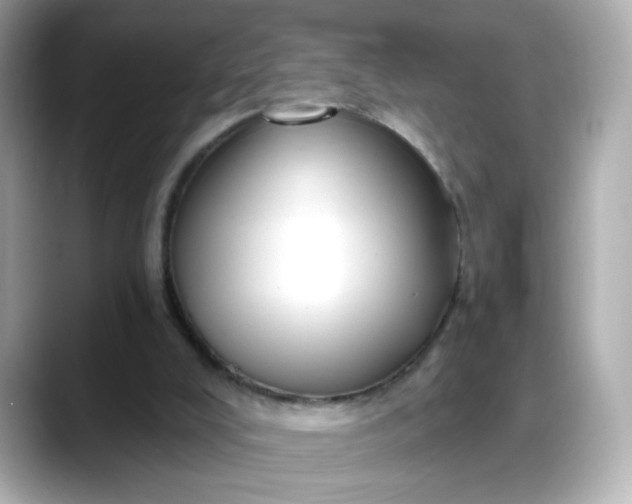 X0000088380008200706051108