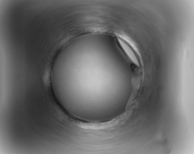 X0000088380009200706051108