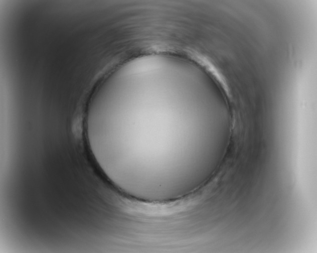 X0000088380010200706051108