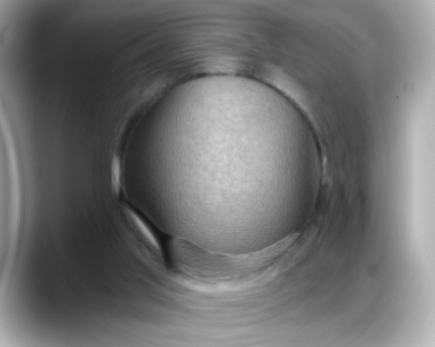 X0000088380013200706051108