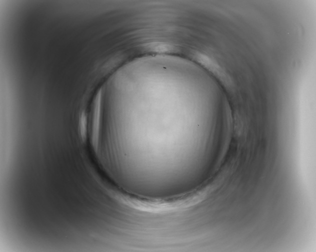 X0000088380014200706051108