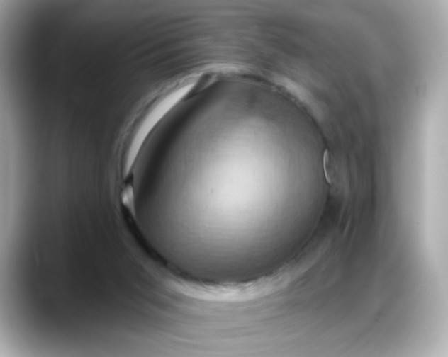 X0000088380015200706051108