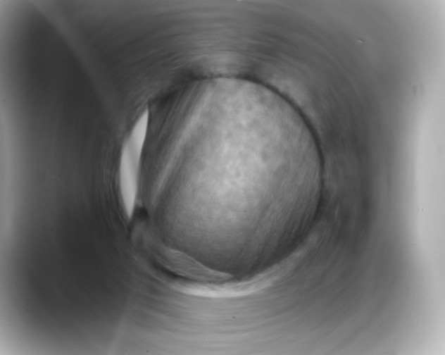 X0000088380017200706051108