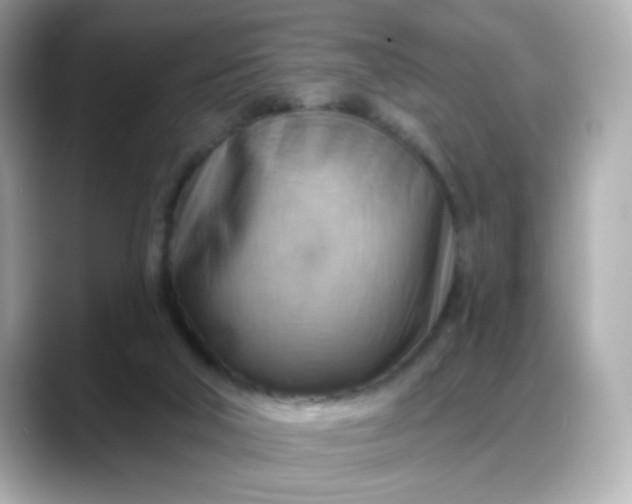 X0000088380018200706051108