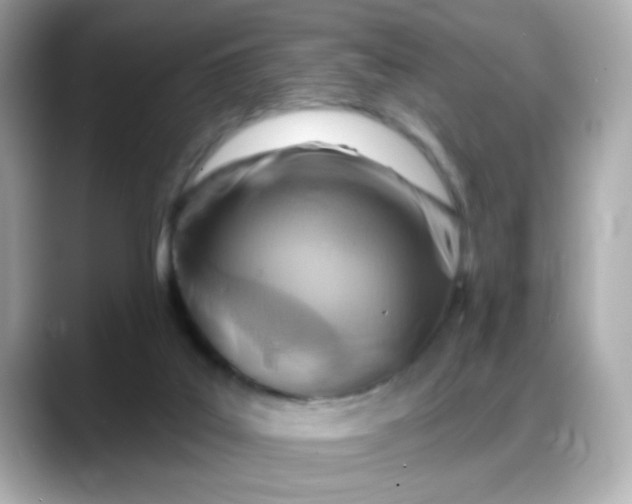 X0000088380019200706051107