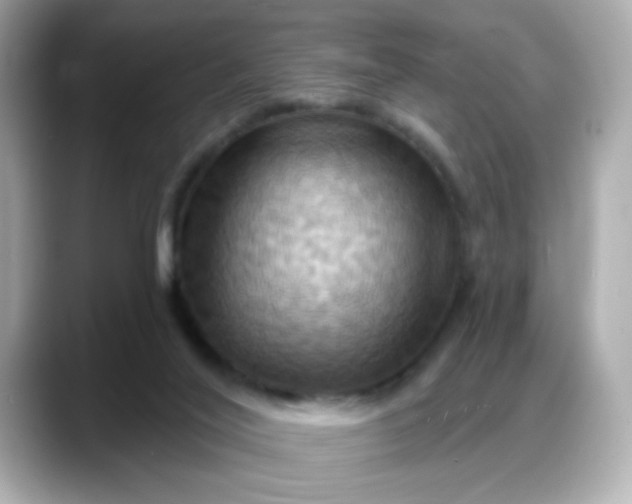 X0000088380020200706051107