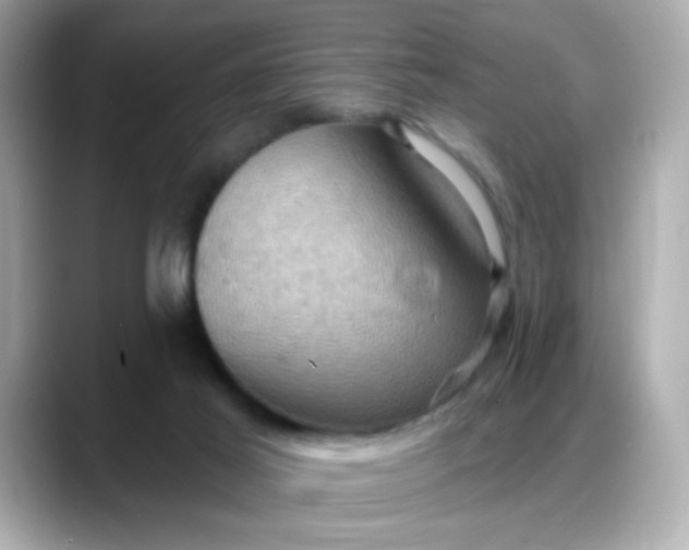 X0000088380021200706051107