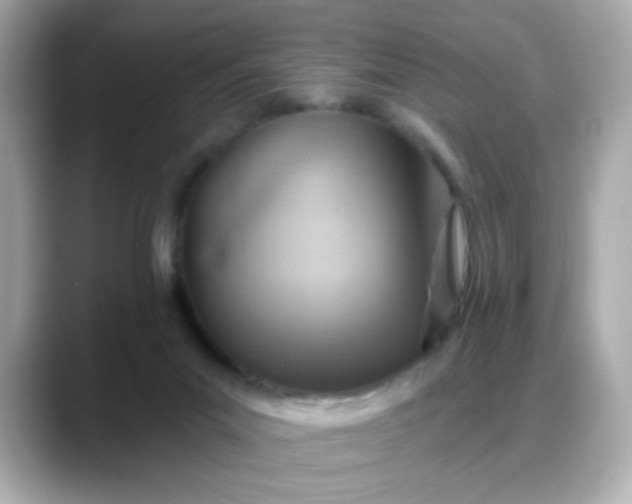 X0000088380023200706051107