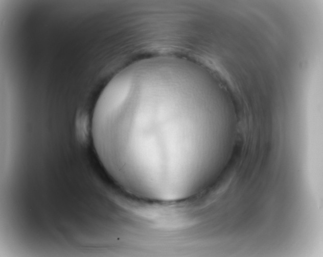 X0000088380024200706051107