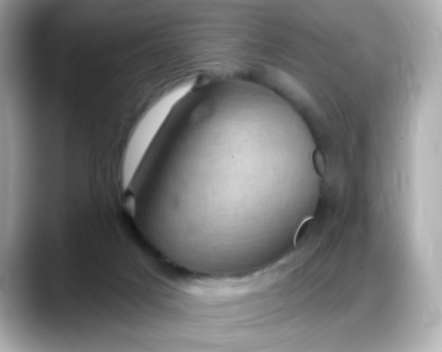 X0000088380025200706051107