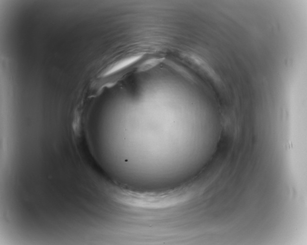 X0000088380026200706051107